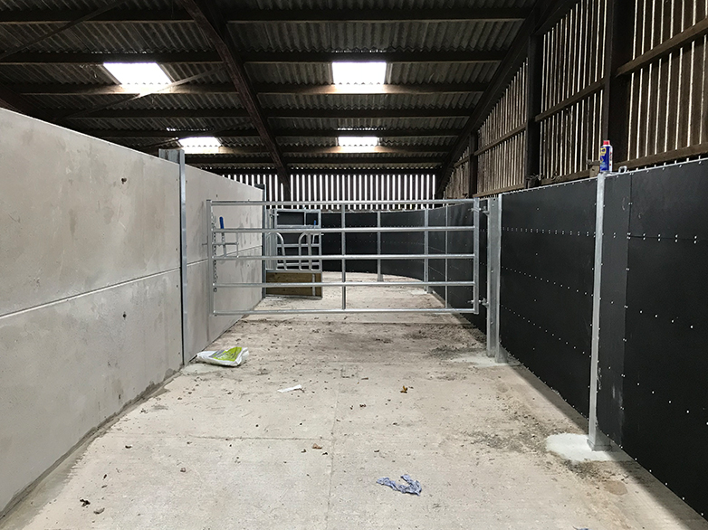 Cattle Handling System Project - 6