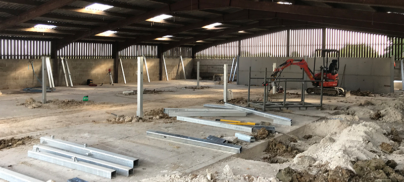 Custom cattle handling system installation for longhorn cattle