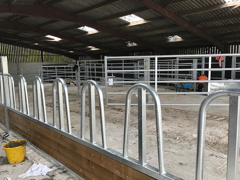 Cattle handling system posts installed in uneven shed floor
