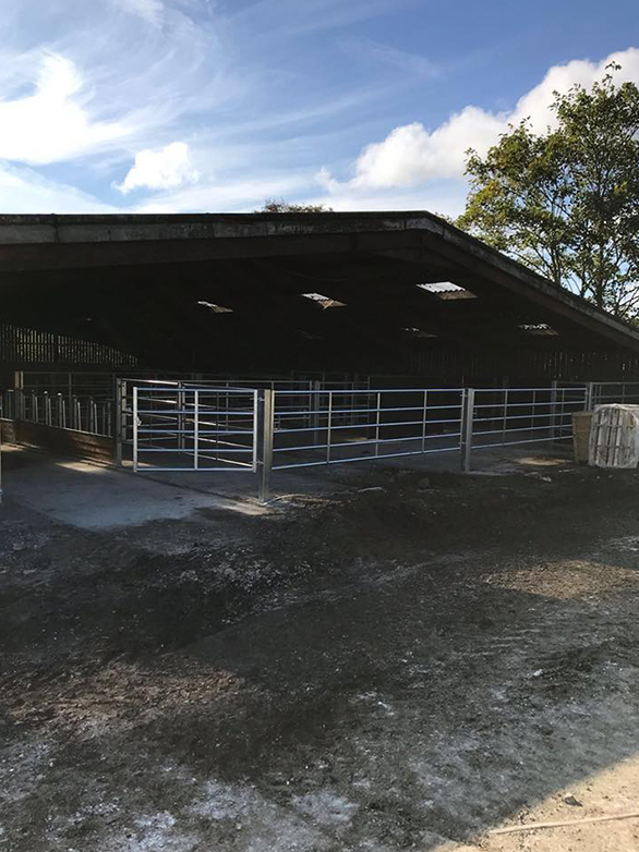 Cattle Handling System Part 2 Project - 1