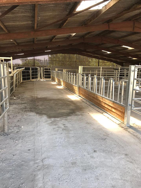 Cattle Handling System Part 2 Project - 2