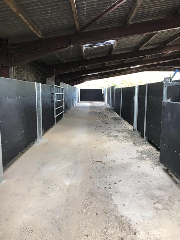 Cattle Handling System Part 2 Project - 3