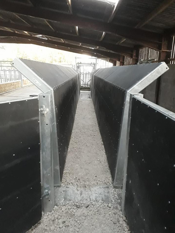 Cattle Handling System Part 2 Project - 4