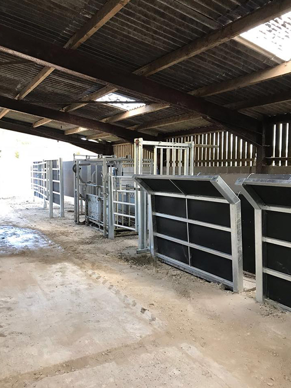 Cattle Handling System Part 2 Project - 5