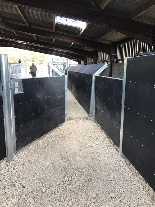 Cattle Handling System Part 2 Project - 6