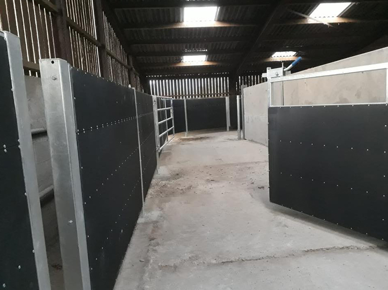 Cattle Handling System Part 2 Project - 8