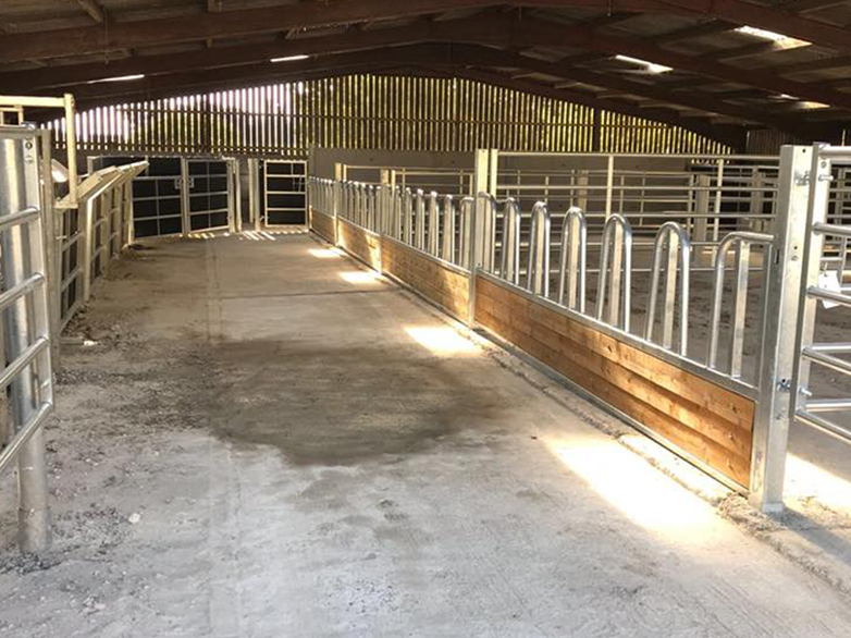 Custom cattle pen and handling system installation