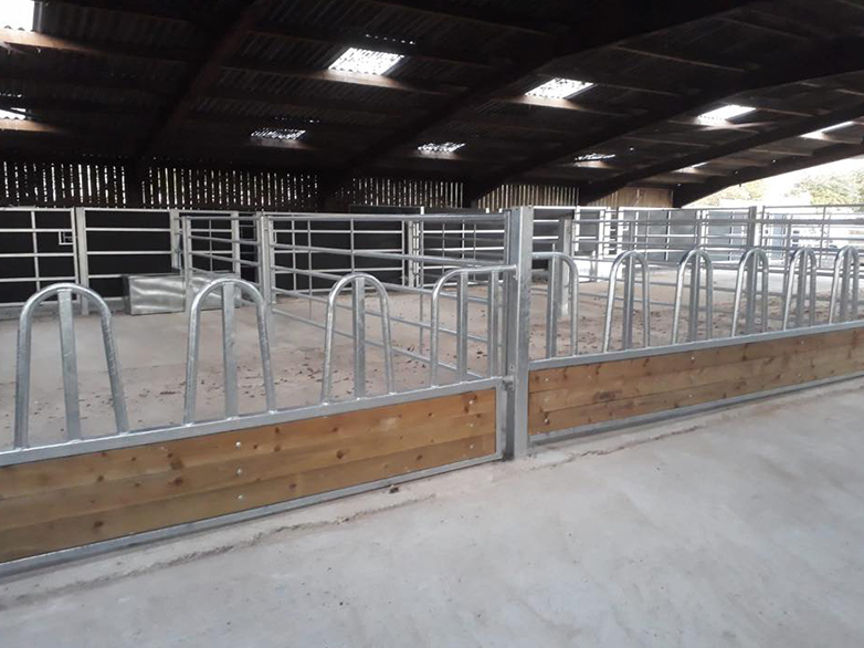 Completed cattle handling system posts installed in shed floor channels
