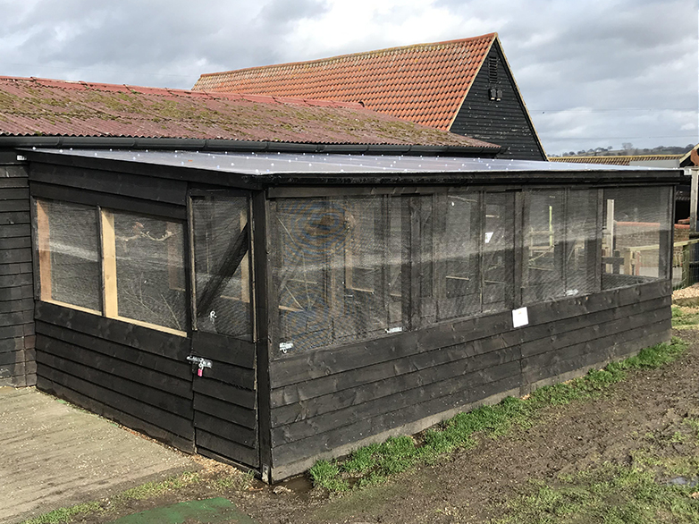 Custom Falconry Enclosure Project - 3