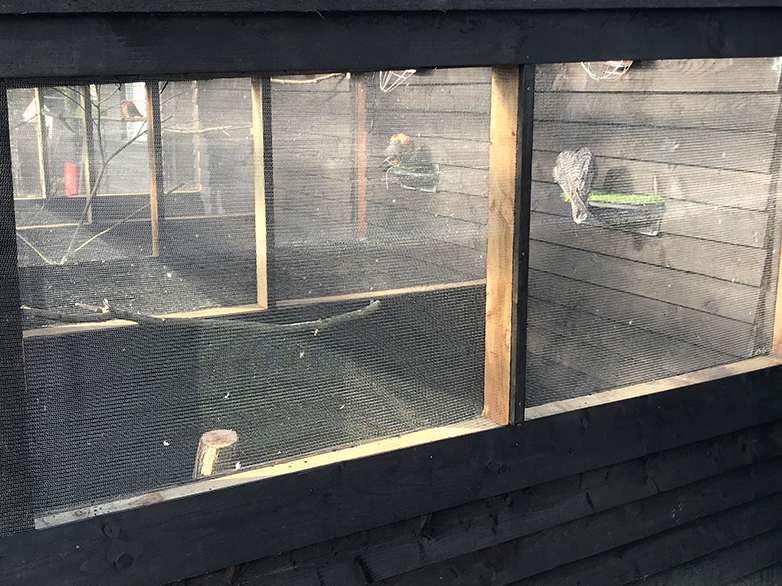 Custom Falconry Enclosure Project - 5