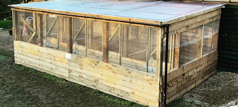 Custom falconry enclosure with timber frame and mesh cladding
