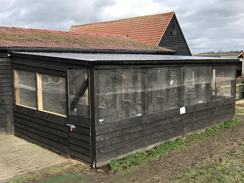 Falconry enclosure timber frame and cladding detail