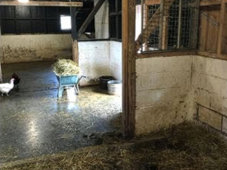 Custom Goat Pen Part 2 Project - 1