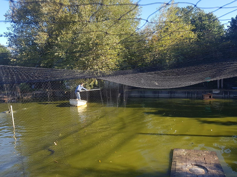 Custom Pond Netting Project - 1