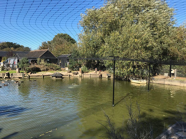 Custom Pond Netting Project - 2