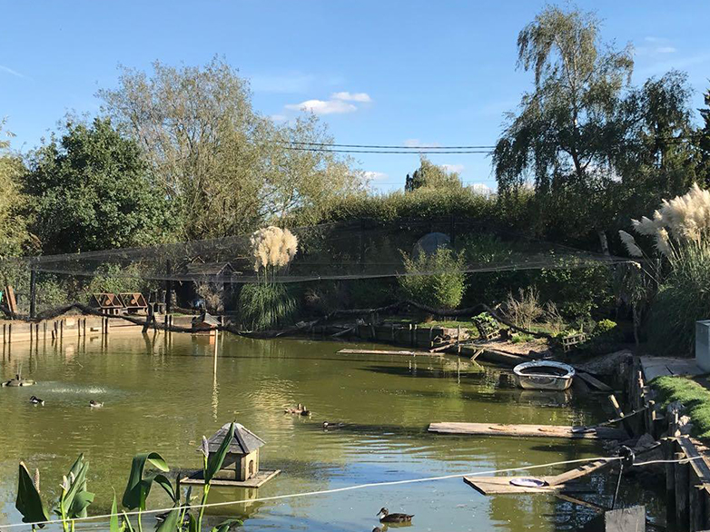 Custom Pond Netting Project - 3