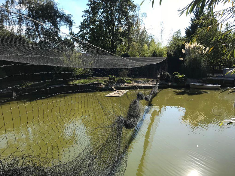 Custom Pond Netting Project - 4