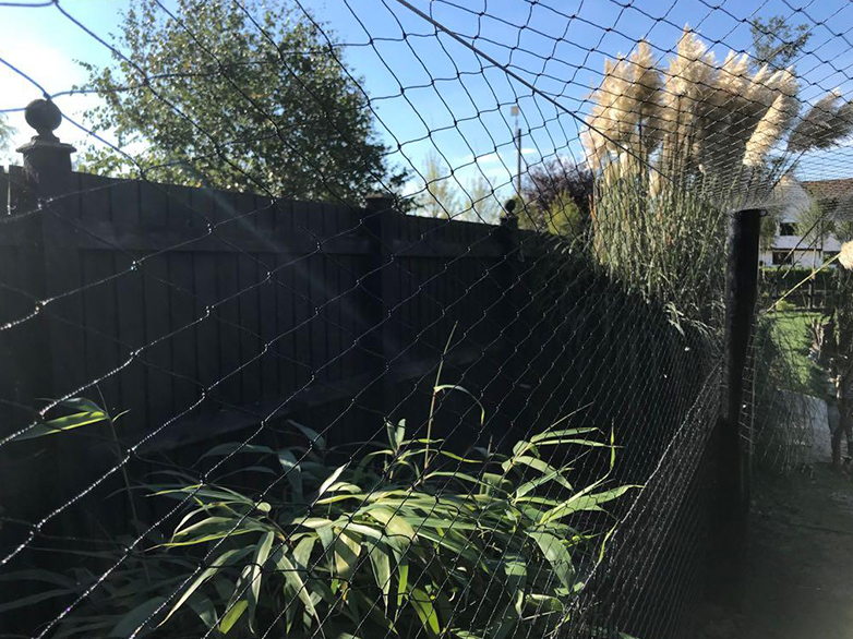 Custom Pond Netting Project - 7