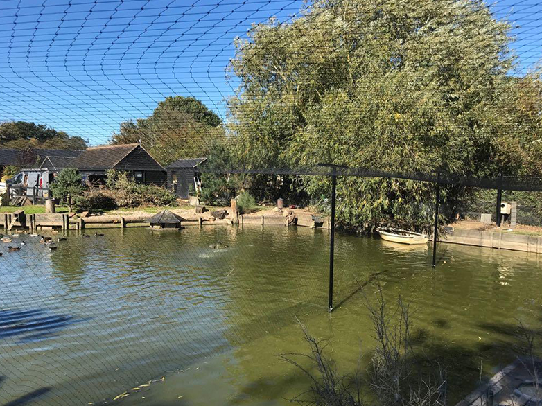 Bird netting system installed across half a pond