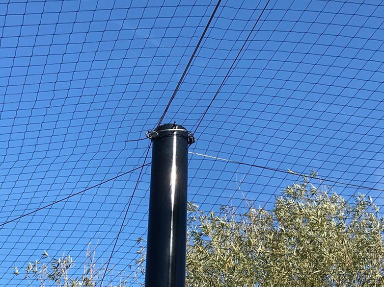 Completed pond netting enclosure protecting rare breed ducks