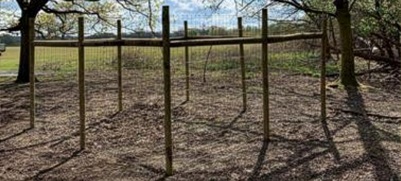 Deer Exclusion Fencing in Woodland Nature Reserve