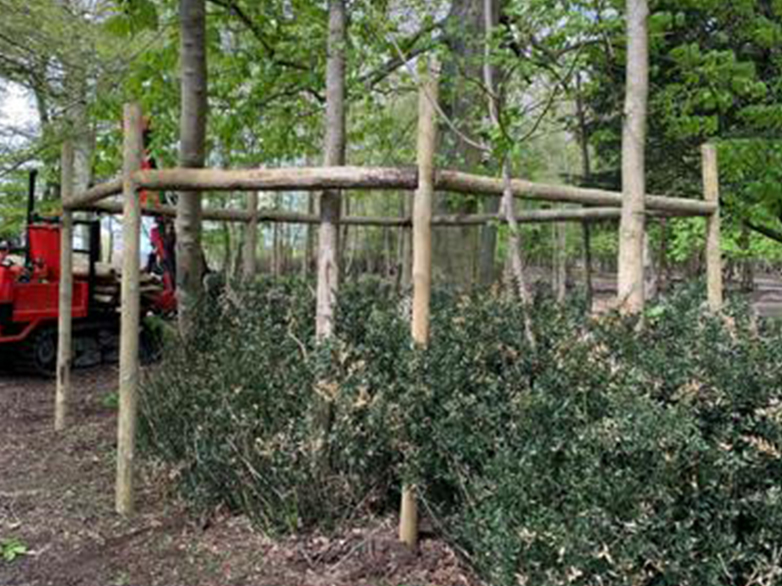 Deer Exclusion Fencing Installed in Woodland