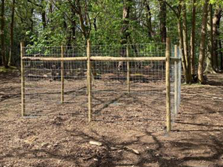 Deer Fence in Wooded Area Project - 1