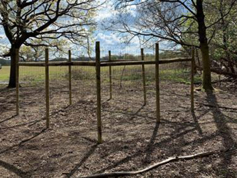 Deer Fence in Wooded Area Project - 3