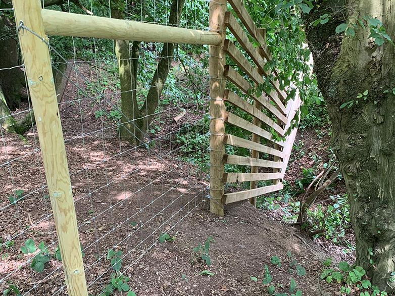 Deer Fence in Wooded Area Project - 5