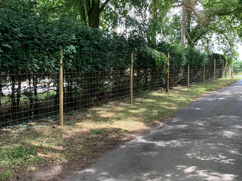 Deer Fence in Wooded Area Project - 6
