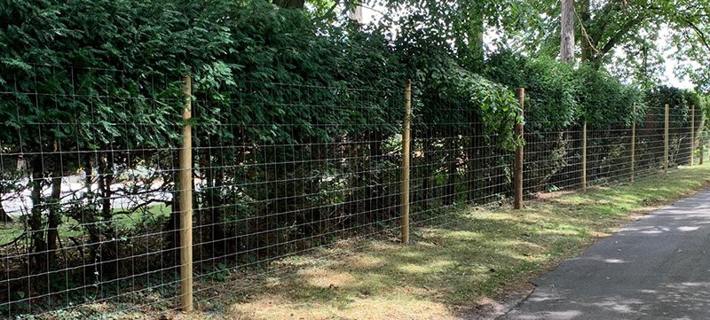 Deer Fence Installed in Wooded Area