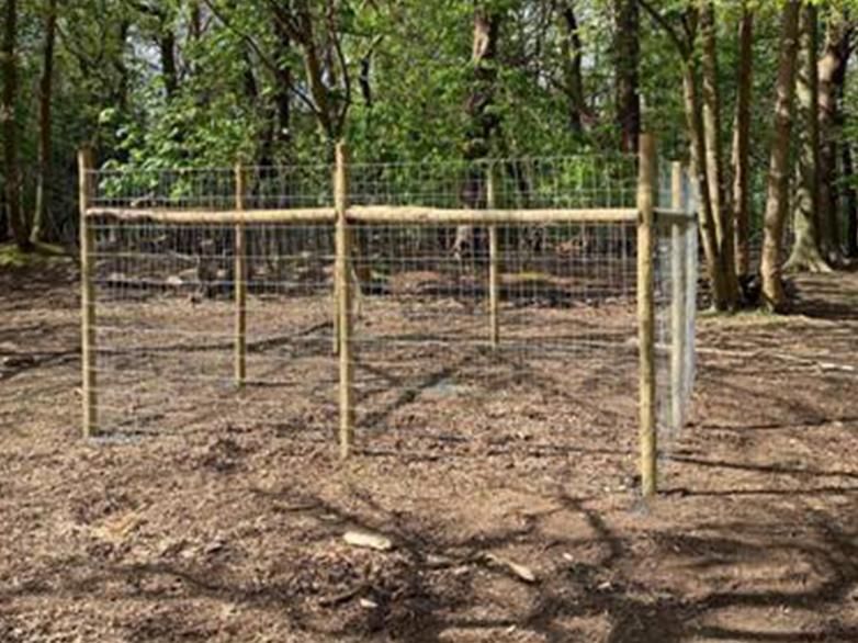 Woodland Deer Fence Installation with Timber Posts