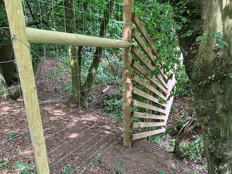 Woodland Deer Fence Installation with Timber Posts