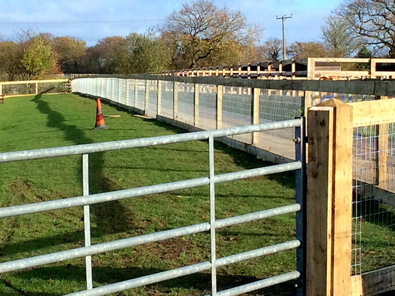 Local Horse Sanctuary Fencing Project Gallery 4