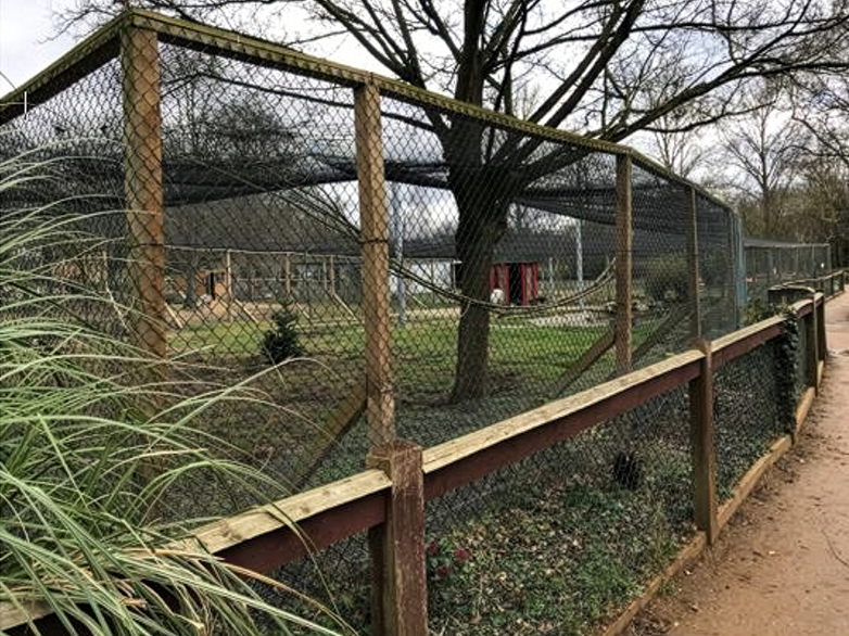 Flamingo Enclosure - 1