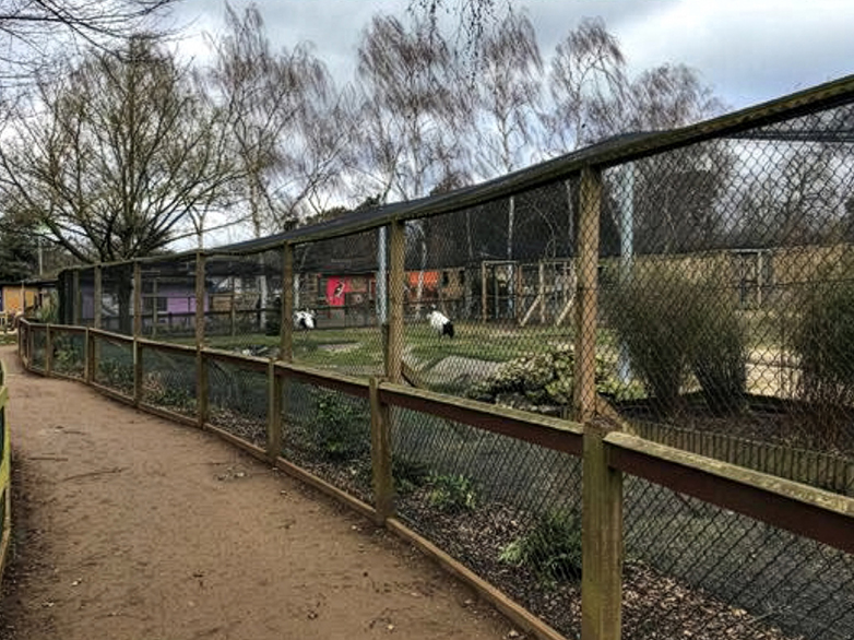 Flamingo Enclosure - 3