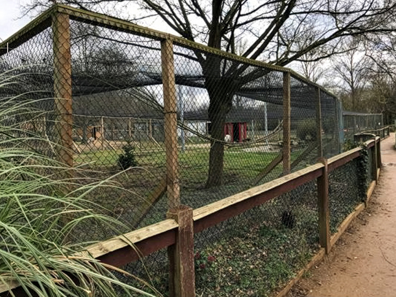 Established flamingo enclosure with birds settled in habitat