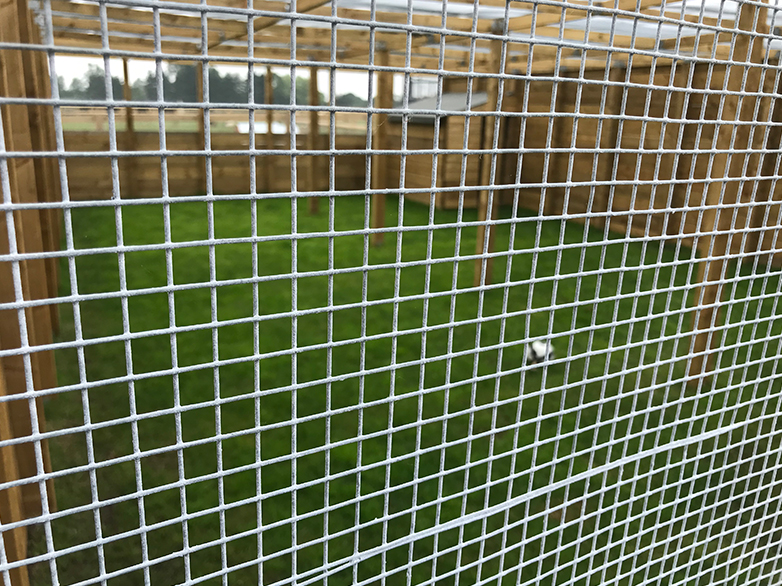 Dog run posts installed in galvanised feet with turfed base