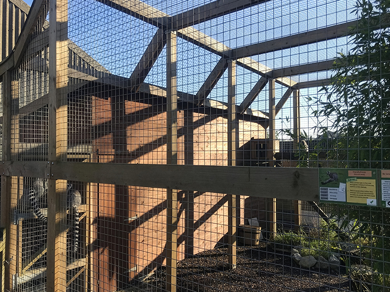 Lemur Enclosure - Oaklands College Project - 6