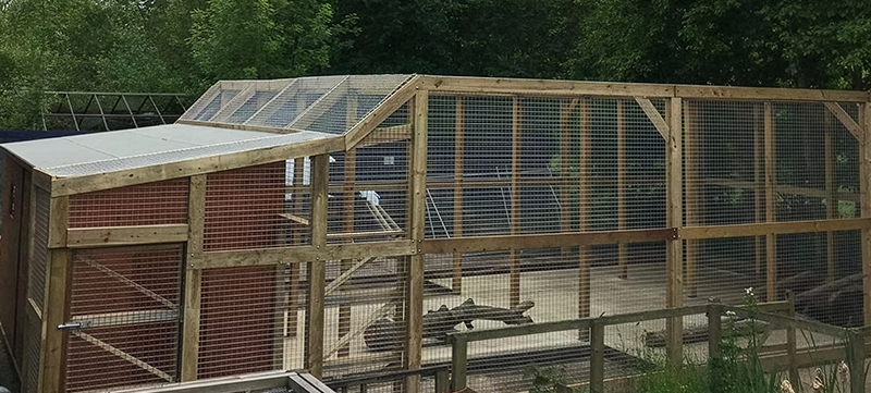 Custom lemur enclosure built for Oaklands College