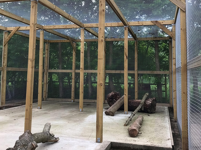 Framework and mesh structure of the lemur enclosure during installation