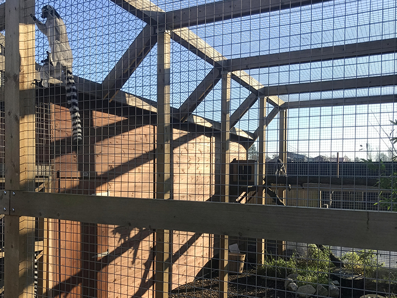 Completed lemur enclosure at Oaklands College with galvanised weldmesh
