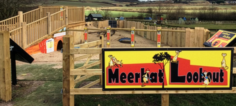 Meerkat enclosure installation with custom oak and safety glass at Hayes Hill Open Farm
