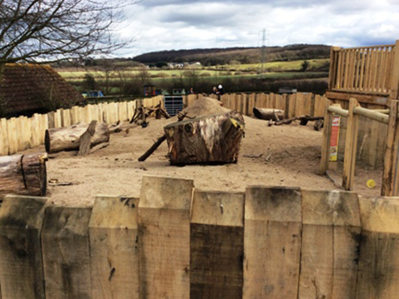 Custom meerkat enclosure with safety glass and oak surround