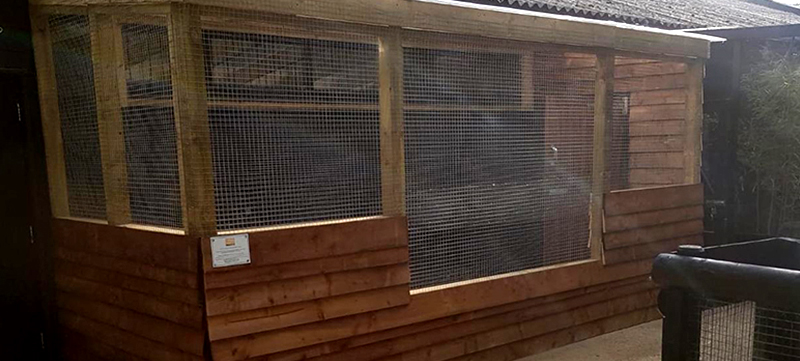 Meerkat enclosure installation for Oaklands College