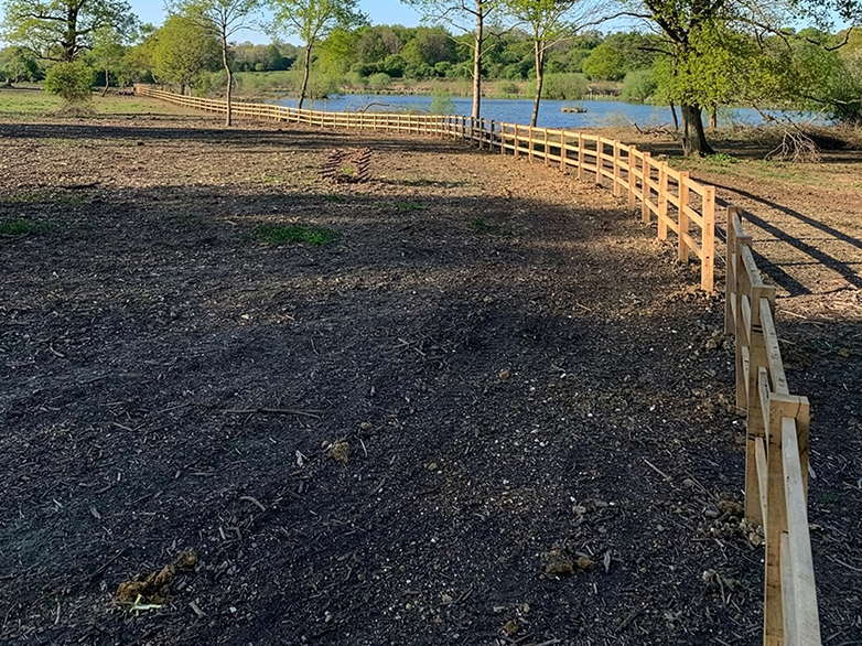 Oak Morticed Post & Rail - Hatfield Forest Parkland - 1