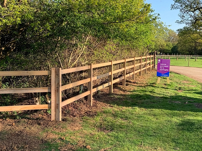 Oak Morticed Post & Rail - Hatfield Forest Parkland - 2