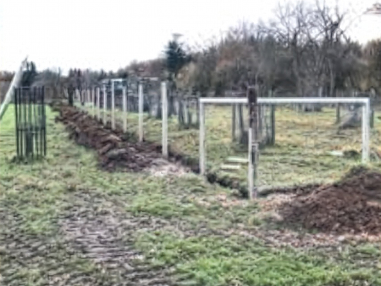Orchard Fencing - Young Tree Protection - 2