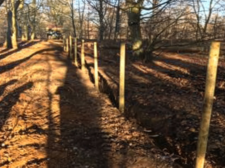 Orchard Fencing - Young Tree Protection - 3