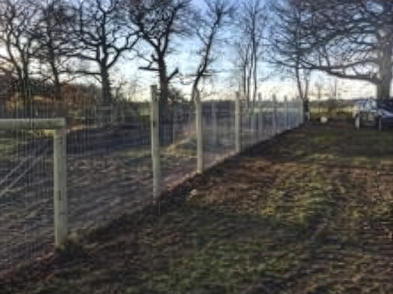 Orchard Fencing - Young Tree Protection - 4